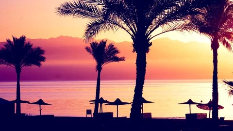 Sunrise Palm Beach Stock Footage 128548543