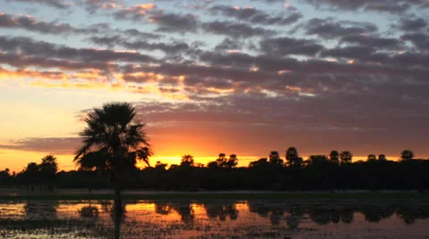 Sunrise with palms Stock Footage 24411715