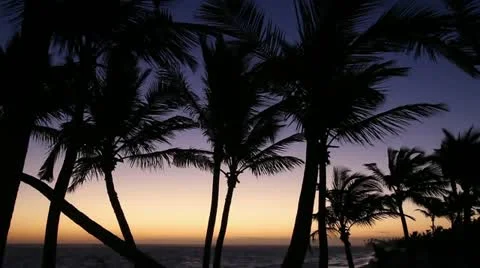 Sunrise in Paradise Stock Footage 20459486