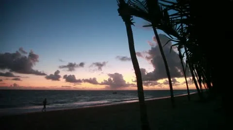 Sunrise in Paradise Stock Footage 20469720