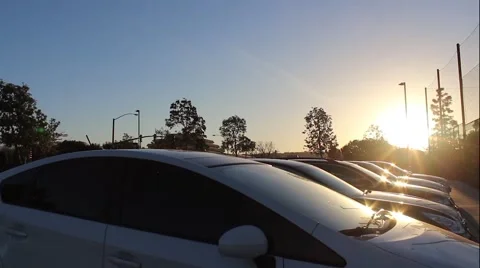 Sunrise in the Park Stock Footage 48878787