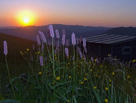 Sunrise Stock Photos