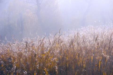 Sunrise Stock Photos