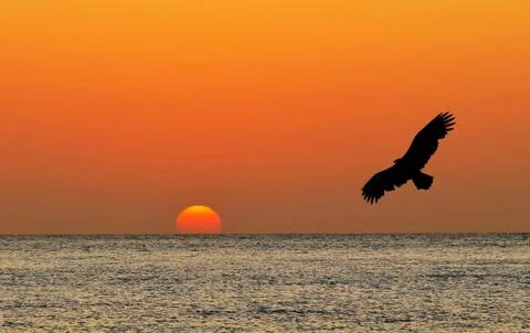 Sunrise Stock Photos