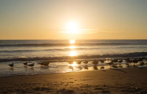 Sunrise Stock Photos