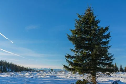 Sunrise Stock Photos