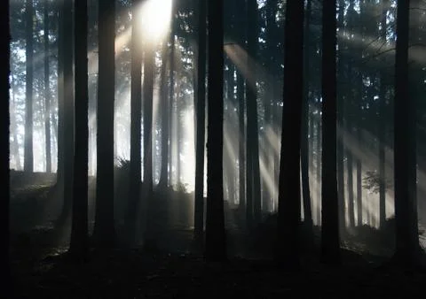 Sunrise Stock Photos