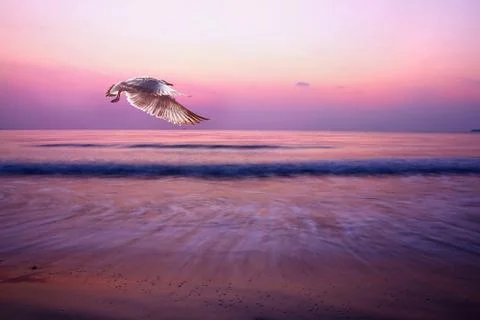 Sunrise Stock Photos