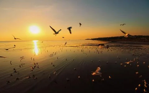 Sunrise Stock Photos