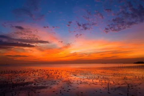 Sunrise Stock Photos