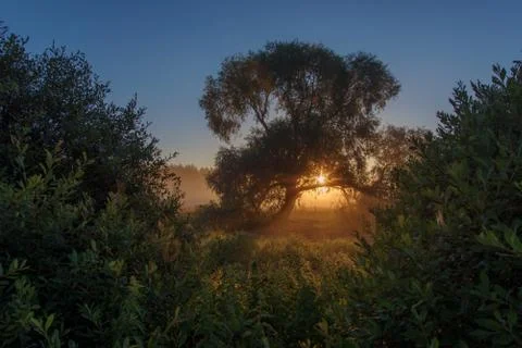 Sunrise 스톡 사진