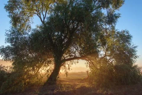 Sunrise 스톡 사진