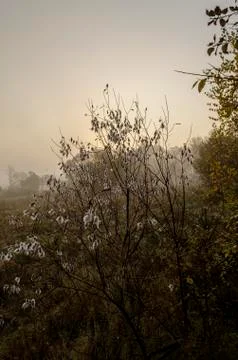 Sunrise Stock Photos