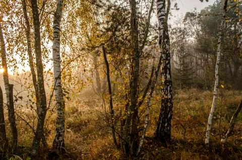 Sunrise Stock Photos