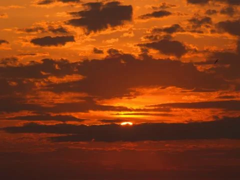 The Sunrise 스톡 사진