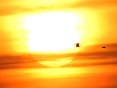 Sunrise Stock Photos