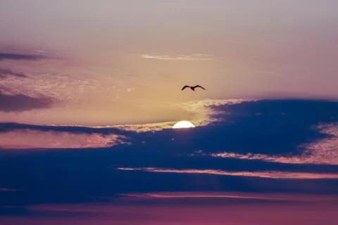 Sunrise Stock Photos