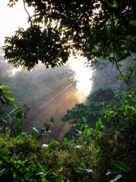 Sunrise 스톡 사진