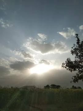 Sunrise Stock Photos