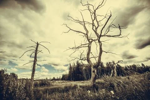 Sunrise 写真素材