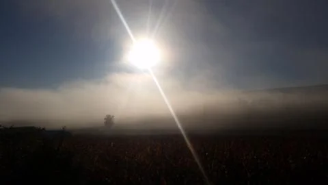 Sunrise Stock Photos