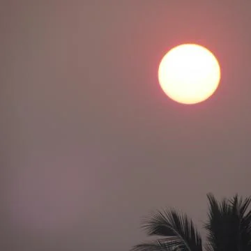 Sunrise Stock Photos