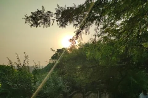 Sunrise 写真素材