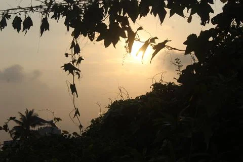 Sunrise Stock Photos