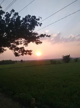 Sunrise Stock Photos