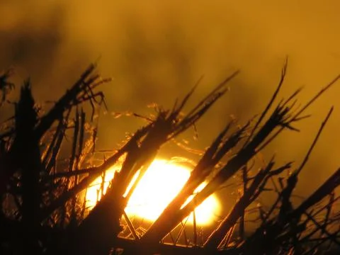 Sunrise Stock Photos