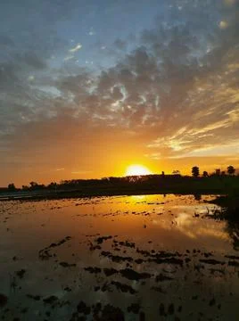 SUNRISE Stock Photos