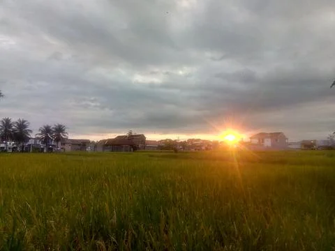 Sunrise Stock Photos