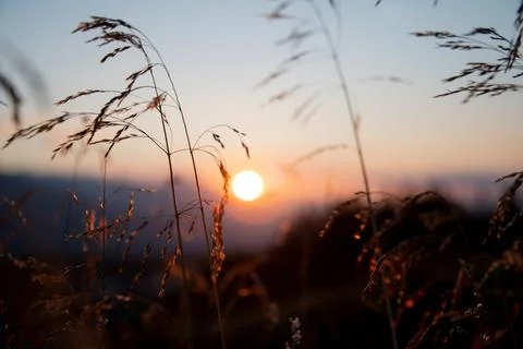 Sunrise Foto stock