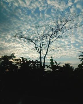 Sunrise Stock Photos