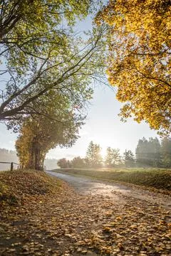 Sunrise Stock Photos