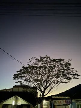 Sunrise 写真素材