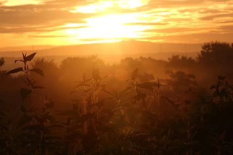 Sunrise Stock Photos
