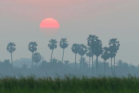 Sunrise Stock Photos