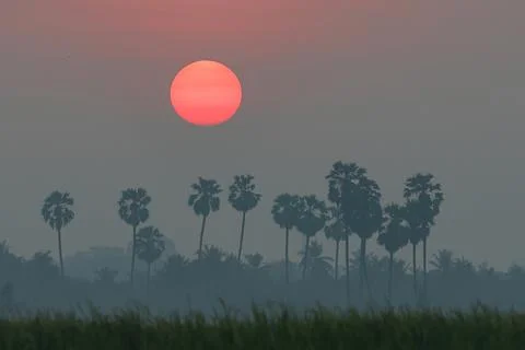 Sunrise Stock Photos