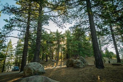 Sunrise at Pine Mountain Foto stock