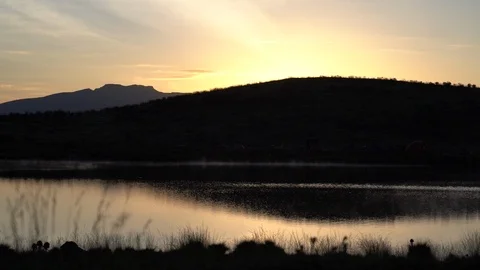 Sunrise Pond Stock Footage 113865824