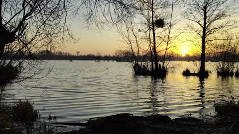 Sunrise on a pond. Stock-Footage 305777111