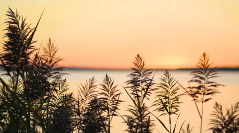 Sunrise rack sun Stock Footage 34457689