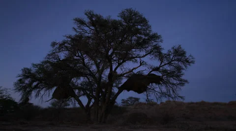 SUNRISE Ramped Timelpase Stock Footage 36616540