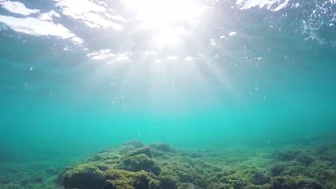 Sunrise reaching in seabed Video stock 71538224