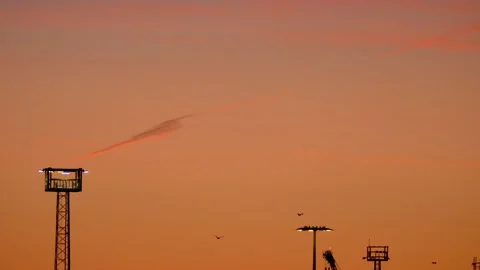 Sunrise real time sky - flying birds, swans - orange clouds background Stock Footage 142094316