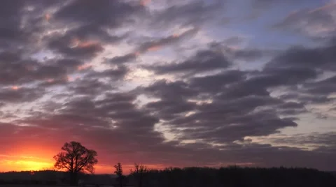 Sunrise red sky clouds rural oak forest horizon morning time lapse Stock Footage