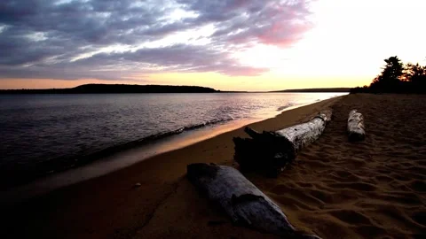 Sunrise reflected on wet beach sand with incoming waves, seagull and logs. Stock Footage 163113154