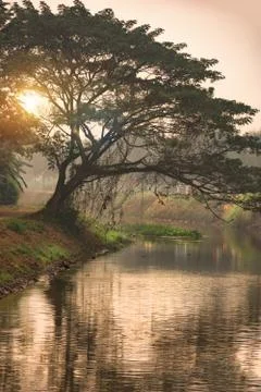 Sunrise reflection in a canal Stock Photos