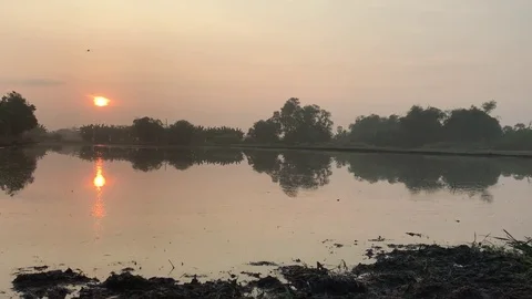 Sunrise with reflection light 스톡 동영상 73583147